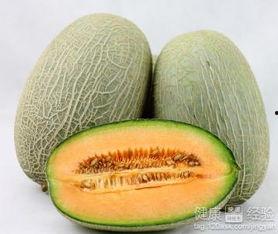 印度吃哈密瓜,哈密瓜的甜蜜诱惑