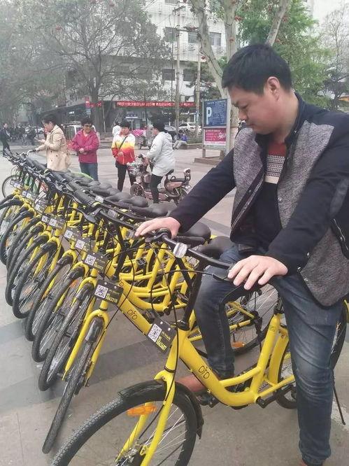 小单车吃瓜,揭秘网络热点的背后故事