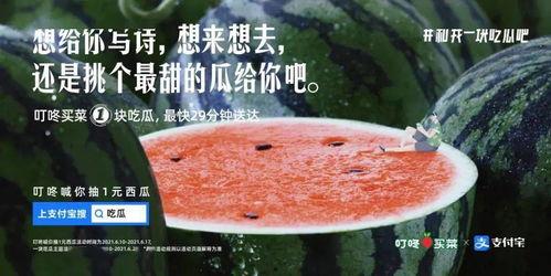 班级吃瓜的文案,揭秘校园里的欢乐时光