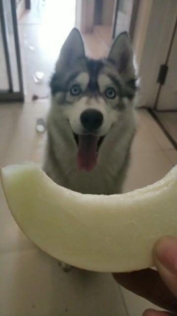 哈吃瓜,揭秘娱乐圈背后的那些事儿