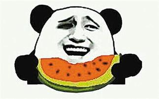 吃瓜群众认真吃瓜子视频