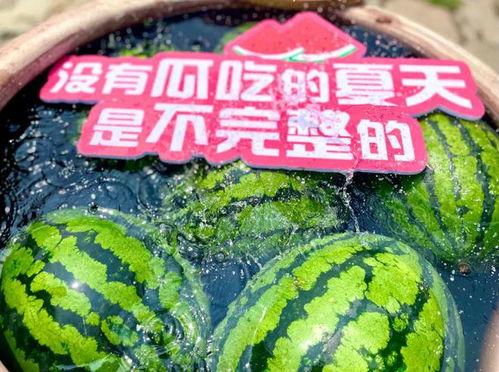 吃瓜群众的瓜味,揭秘娱乐圈那些不为人知的幕后故事