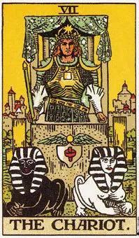 塔罗占卜吃瓜,揭秘吃瓜背后的运势秘密